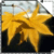 365.gif