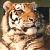1201.gif