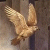 309.gif