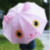 706.gif
