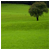601.gif