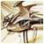 205.gif