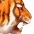 878.gif
