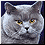 658.gif